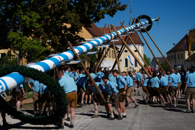 Beer, music and shouts of  ‘Hau-Ruck’ as a Bavarian village raises its new maypole